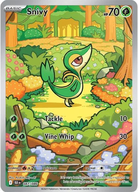 Snivy - 087/086 - SV: Black Bolt (BLK)