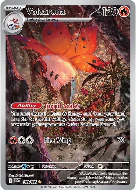 Volcarona - 100/086 - SV: Black Bolt (BLK)